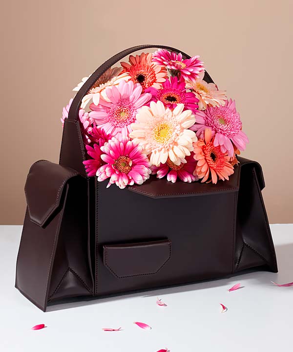 Merryl Tielman | matte chocolate Barbara handbag